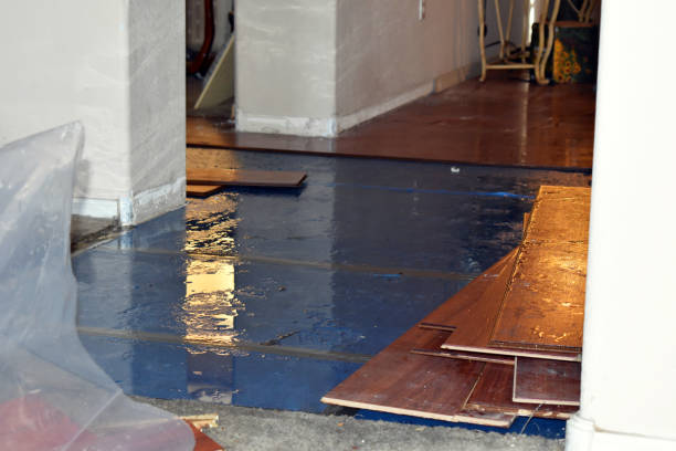 Professional Basement Water Removal technician working in House Springs, MO